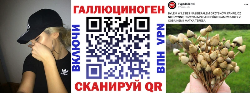 Галлюциногенные грибы ЛСД  hydra онион  Карабаш 